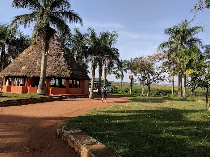 Lutembe Bird Sanctuary 1