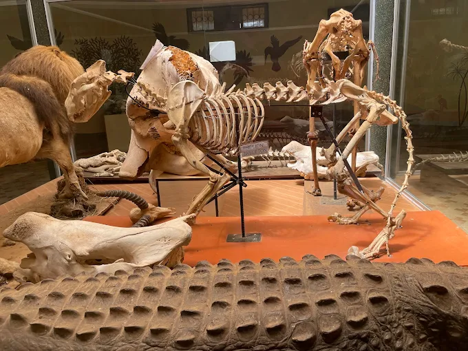 Uganda Wildlife Conservation Education Center 1