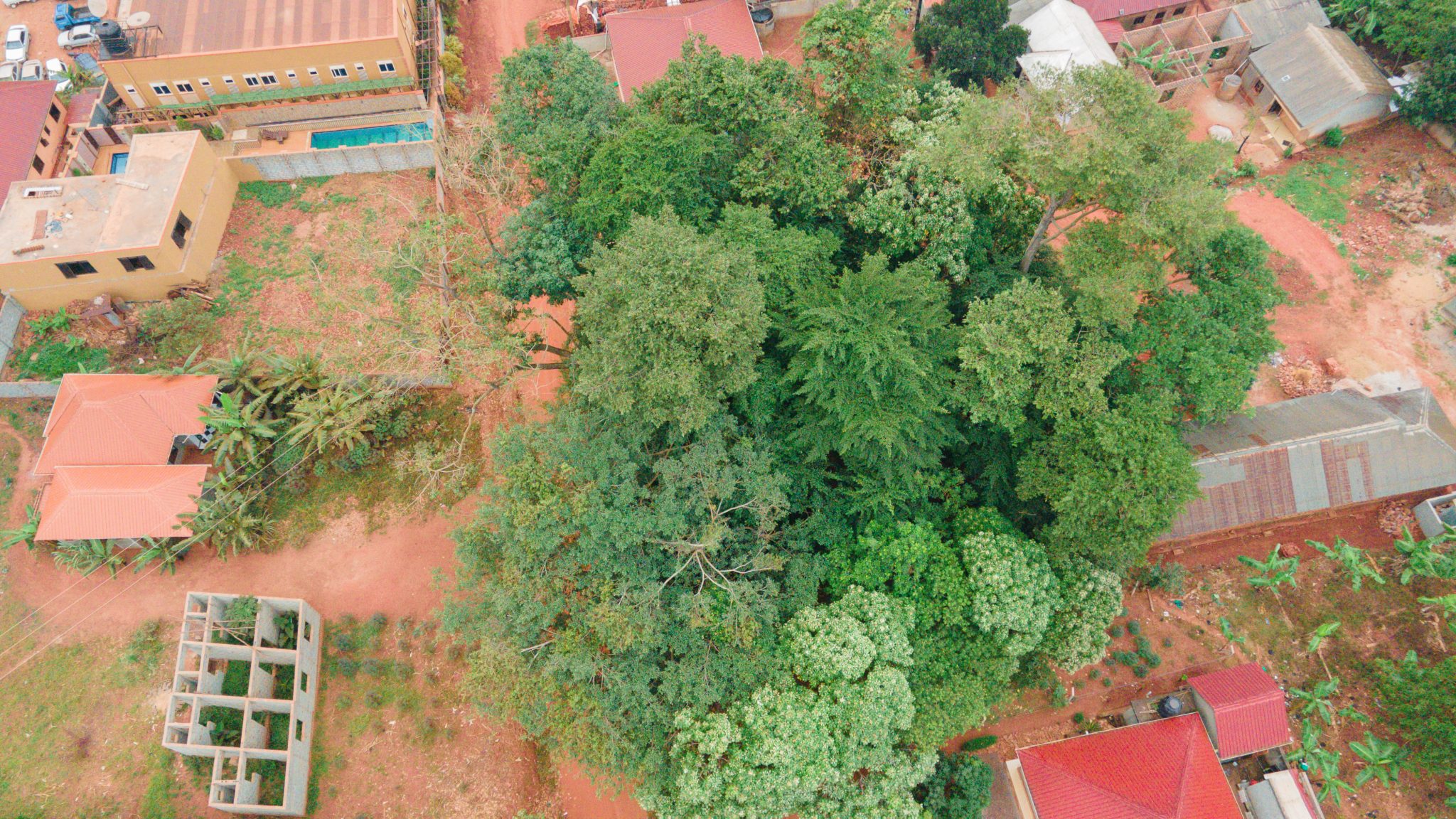 DJI_0512