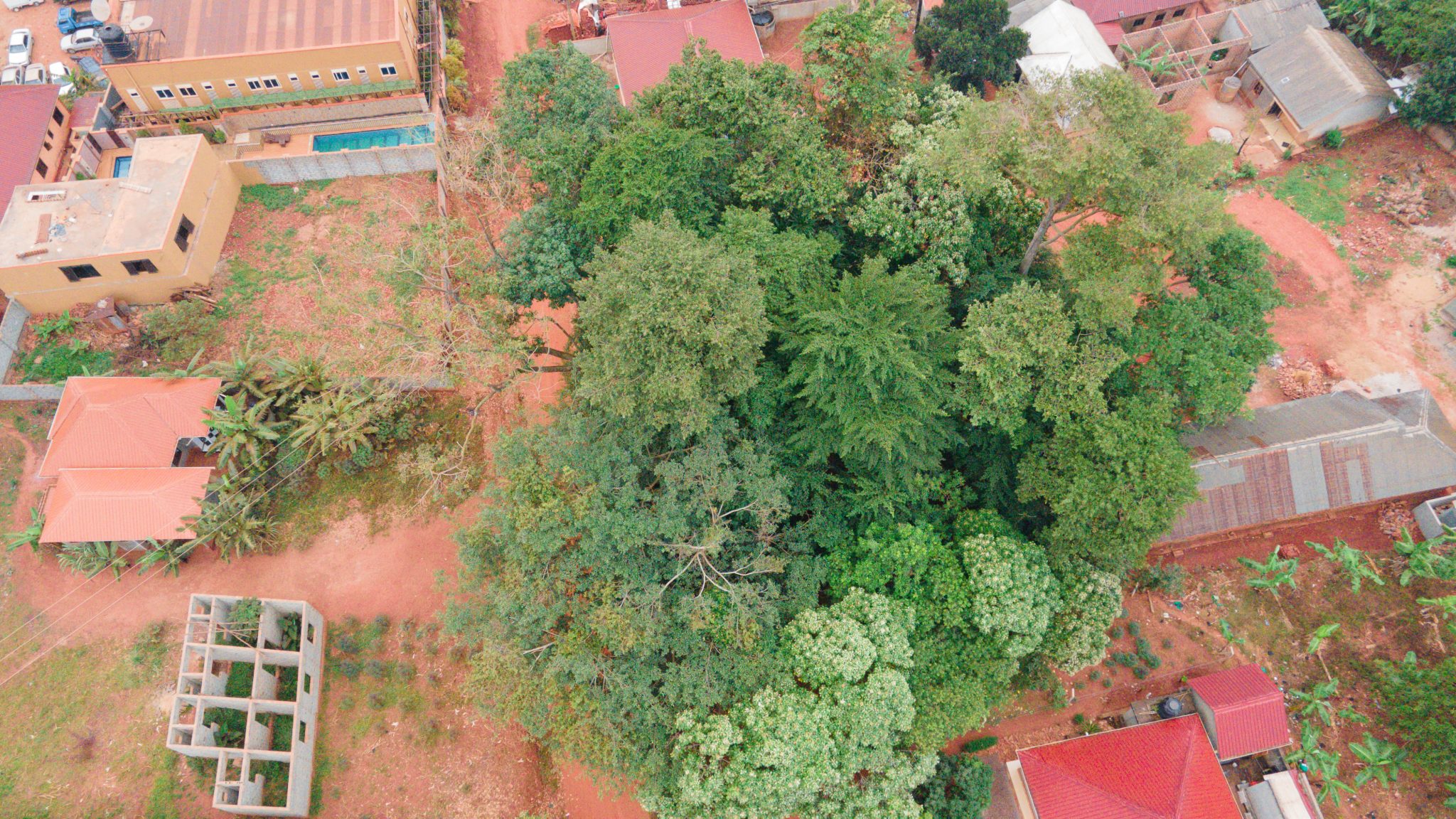 DJI_0513
