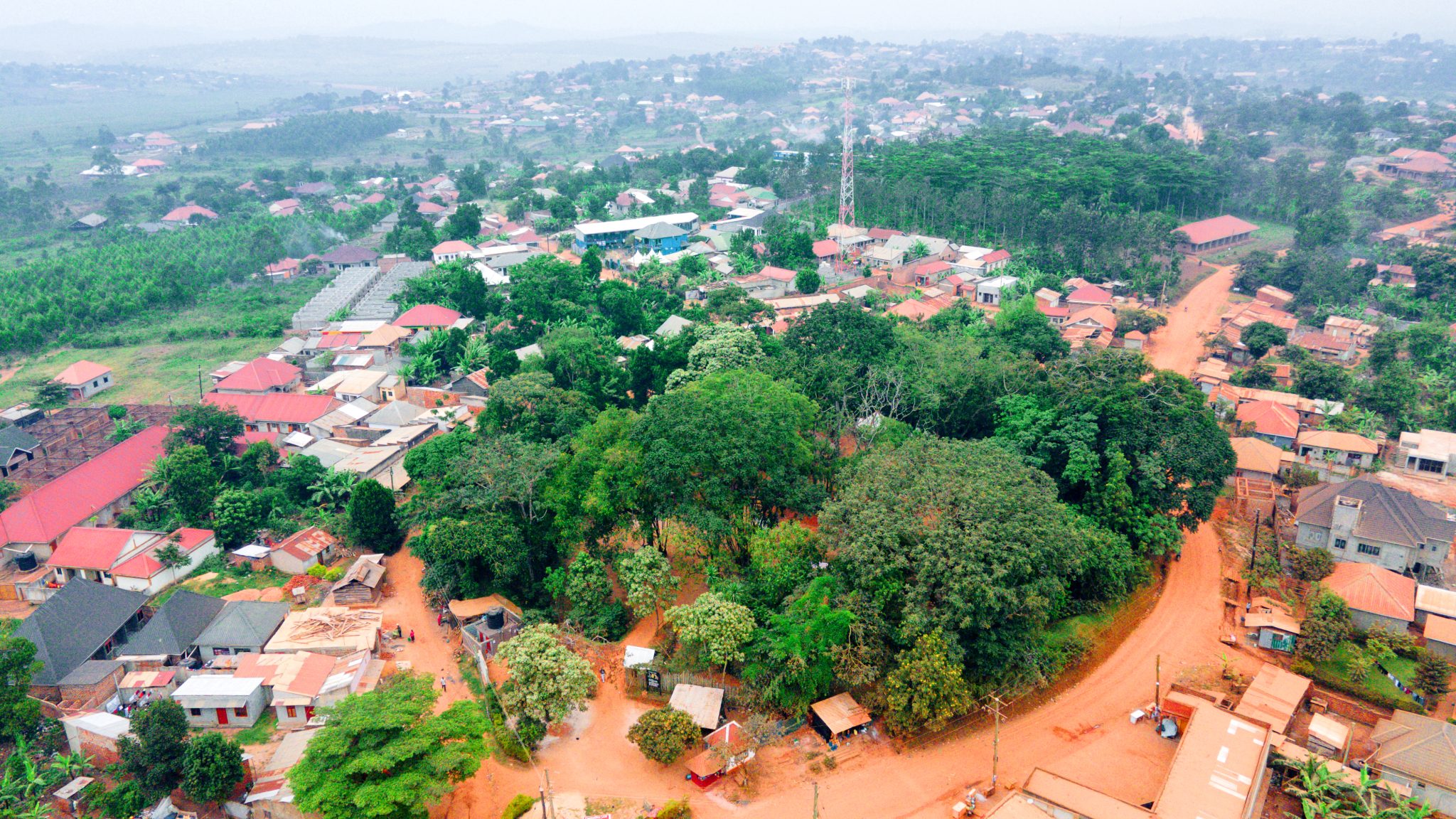 DJI_0523