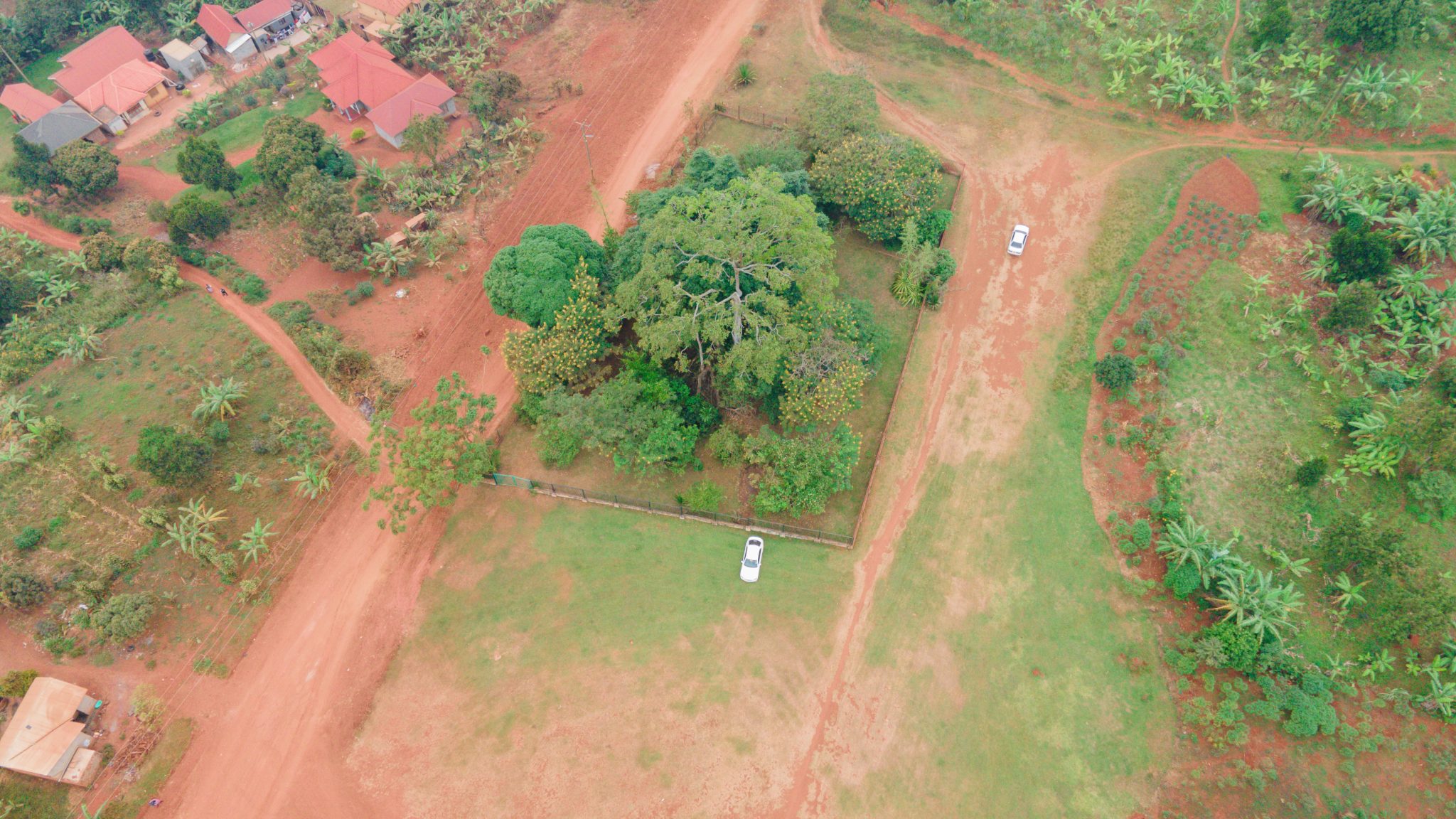 DJI_0537