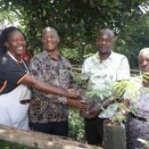 Wakiso District Distributes 50,000 Tree Seedlings to 52 Farmers to Boost Environmental Conservation.